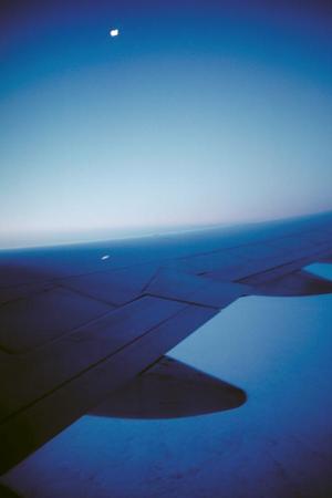 東京で楽しむ贅沢な屋形船体験：家族や友人と非日常を満喫する完璧ガイド