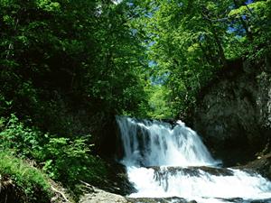 2025年最新版：金沢で叶える理想の着物デート！カップルにおすすめのプランと楽しみ方