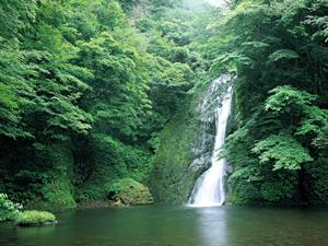 静岡駅から徒歩5分のラグジュアリーな宿泊と多彩なレストランを楽しめる中島屋グランドホテル特集