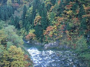 東横INN広島駅スタジアム前：快適な滞在と便利なアクセスを実現するビジネスホテルの魅力