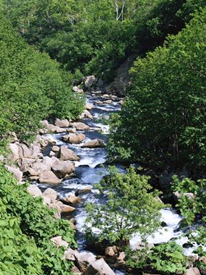 小倉で見つかる最高のホテルガイド2026年版：快適な滞在と観光を叶えるポイント