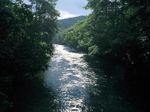 神奈川県川崎市のビジネスホテル：東横INN川崎駅前市役所通の魅力と詳細情報