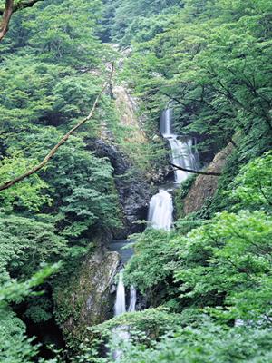 幻の島でシュノーケリングが出来るツアー