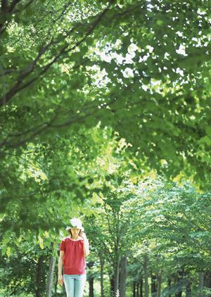 千葉県市川市に位置する東横INN西船橋原木インターの魅力と詳細情報