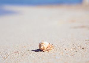 東横イン柏駅東口：千葉県柏市の快適なビジネス・観光宿泊を実現するホテルの詳細ガイド