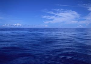 二子玉川駅近くにある写真館について