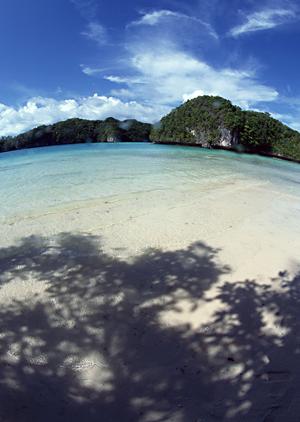 2025年最新版！新宿の映画館徹底ガイド：最新設備とアクセスの良さを完全紹介