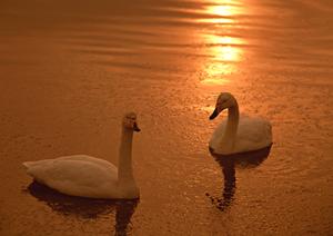 山梨県甲府市のビジネスホテル：東横INN甲府駅南口2の魅力と詳細情報