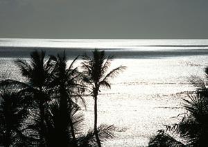 国内最大級のアミューズメントカジノ「カジスタ東京」：新宿で本場さながらのカジノ体験を楽しもう