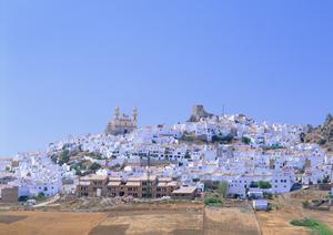 東京観光バスツアーでプチ旅をしよう