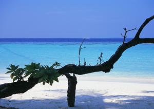 【公式】東横INN群馬伊勢崎駅前｜群馬県伊勢崎市の便利で快適なビジネスホテル