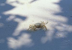 上越妙高駅西口から徒歩1分！快適な滞在を約束する東横INN上越妙高駅西口の魅力と特徴