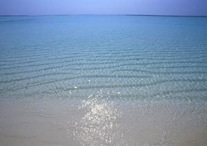郷土料理が自慢の民宿泊まりたいなら