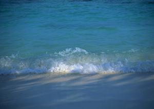 青森市で快適な滞在！東横INN新青森駅東口の魅力と詳細情報