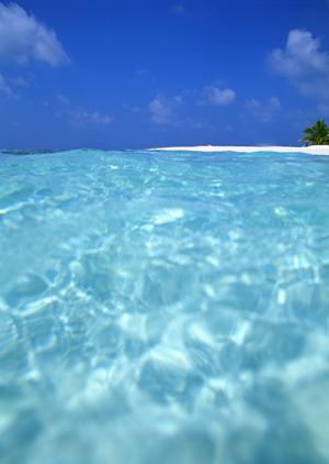 大阪で空き室・空き部屋に困っているなら