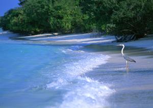 東横INN池袋北口1：アクセス便利で快適なビジネス＆観光向けホテルの完全ガイド