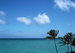 カラオケ ビッグエコー亀戸店 – 江東区のエンターテイメントスポット