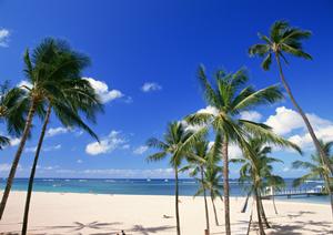 赤羽駅から徒歩わずか2分！快適で便利な東横INN赤羽駅東口一番街の魅力と詳細情報