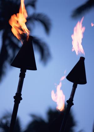 福岡天神のビジネスホテル｜東横INN福岡天神の魅力と詳細情報