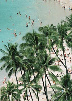 東京の夜景を満喫！特別な時間を過ごす屋形船クルーズ完全ガイド