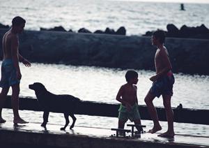 変わった旅行を実現するcozycozy